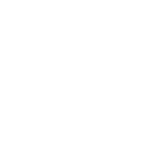 verificacion de escudo